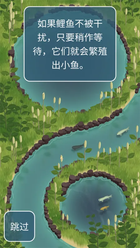 锦鲤农场新手攻略