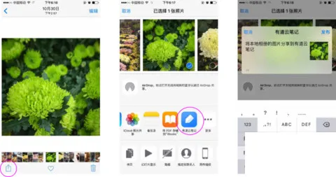 有道云笔记App使用教程