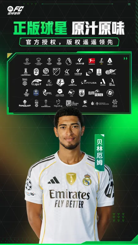 FC足球世界截图4