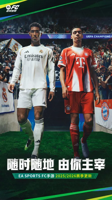 FC足球世界截图1