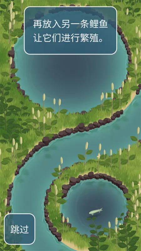 锦鲤农场新手攻略