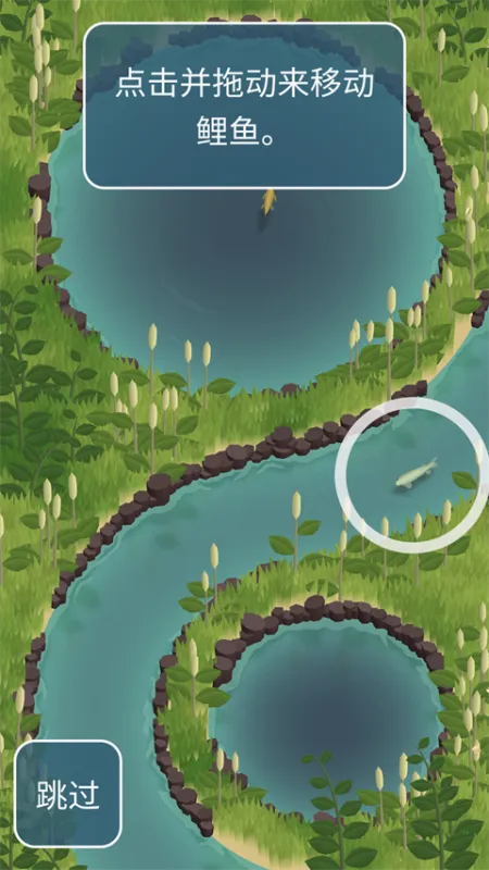 锦鲤农场新手攻略