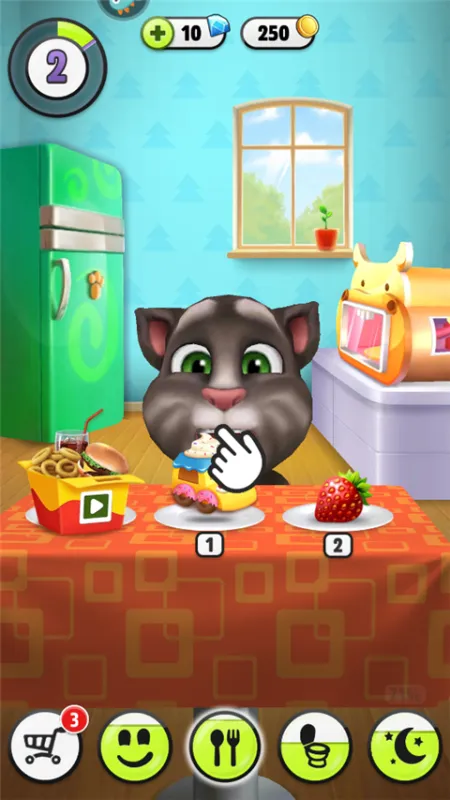 我的汤姆猫新手入门