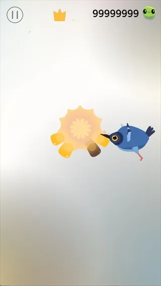 疯狂的鸽子游戏攻略