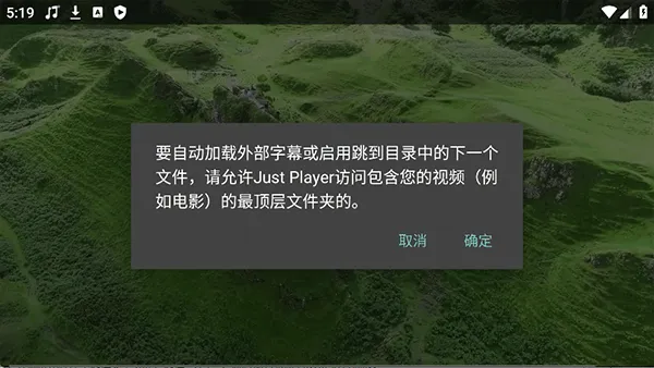 Just Player截图4