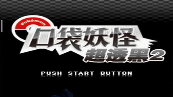 口袋妖怪超透黑2截图2