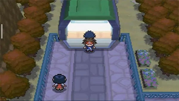 口袋妖怪超透黑2截图1