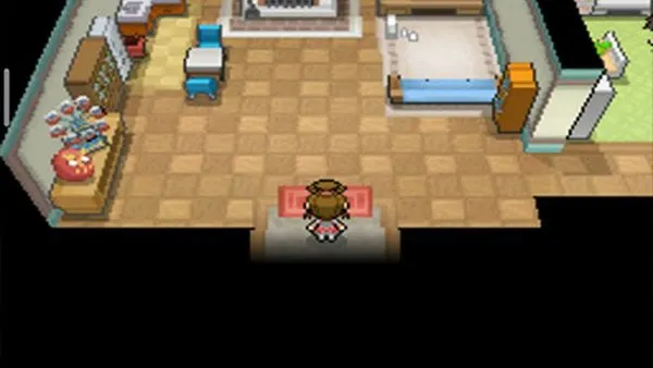 口袋妖怪超透黑2截图4