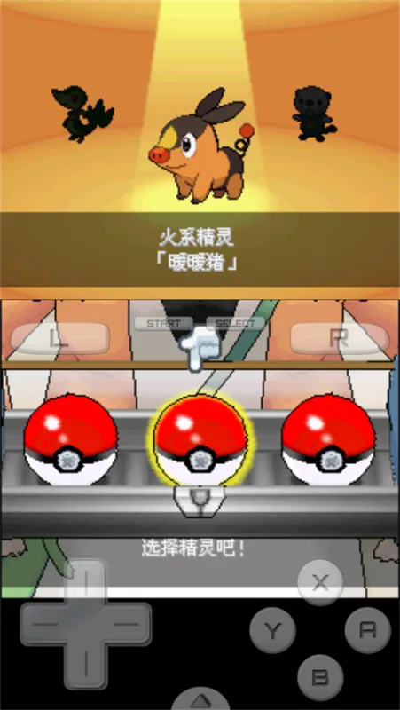 口袋妖怪超透黑2游戏攻略