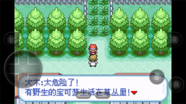 口袋妖怪萌娘版游戏攻略