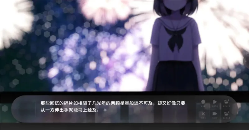 夏末盛开的花截图3