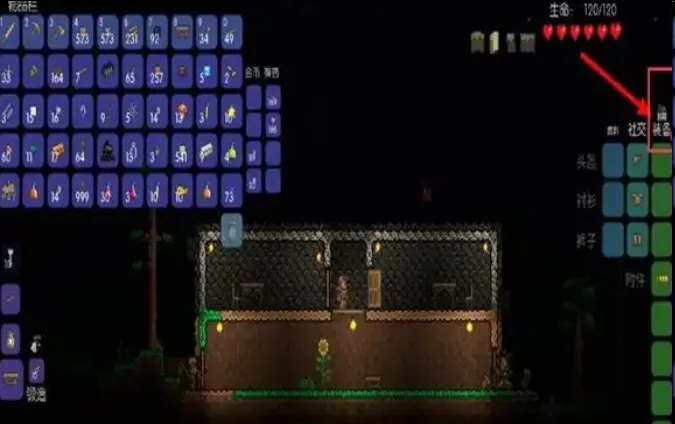 泰拉瑞亚1.4.5版造房技巧