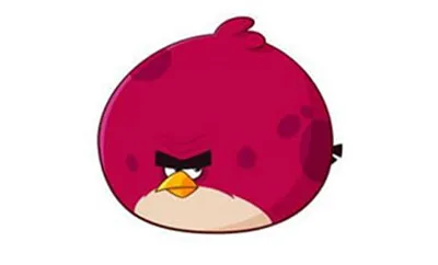 七只神鸟各怀绝技:专属战术使用指南 七只神鸟各怀绝技:专属战术使用指南