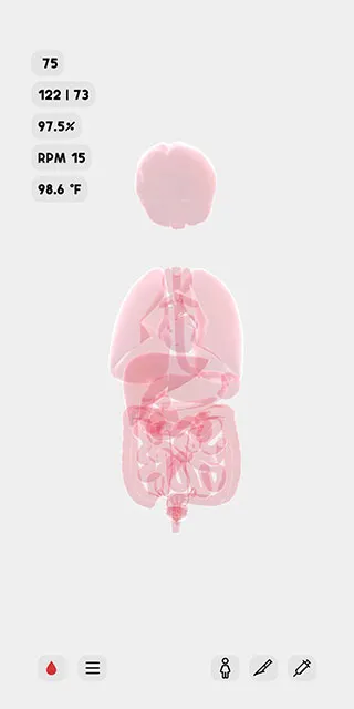 生命Life新手攻略