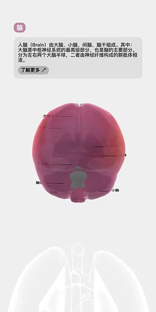 生命Life新手攻略