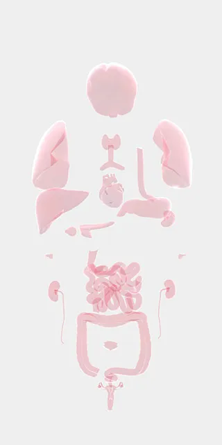 生命Life新手攻略