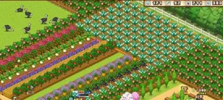 像素牧场物语——老玩家亲授的布局进阶指南