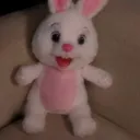 魔法兔兔