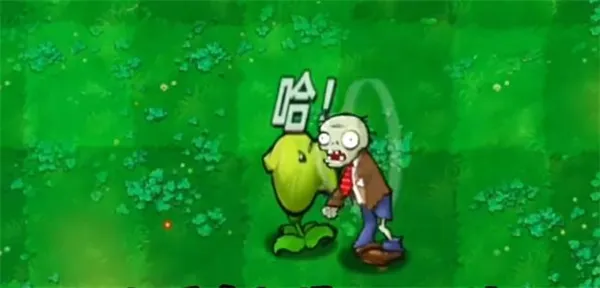 哈基米植物图鉴：毛茸茸的战力图谱