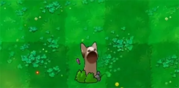 哈基米植物图鉴：毛茸茸的战力图谱