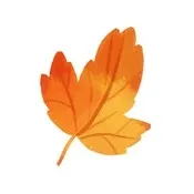 悟秋浏览器app