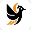 DarkBird
