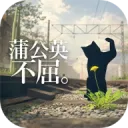 蒲公英不屈